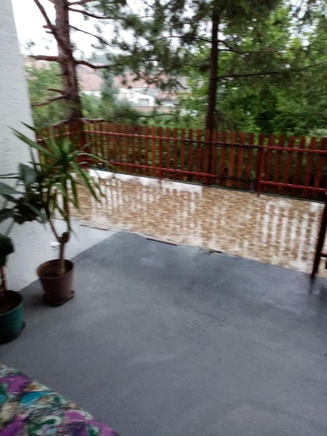 Family Apartman Ana - Star Galambóc Kültér fotó