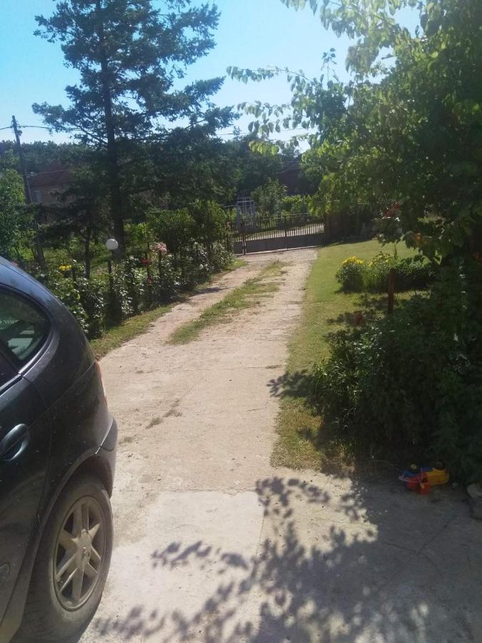 Family Apartman Ana - Star Galambóc Kültér fotó