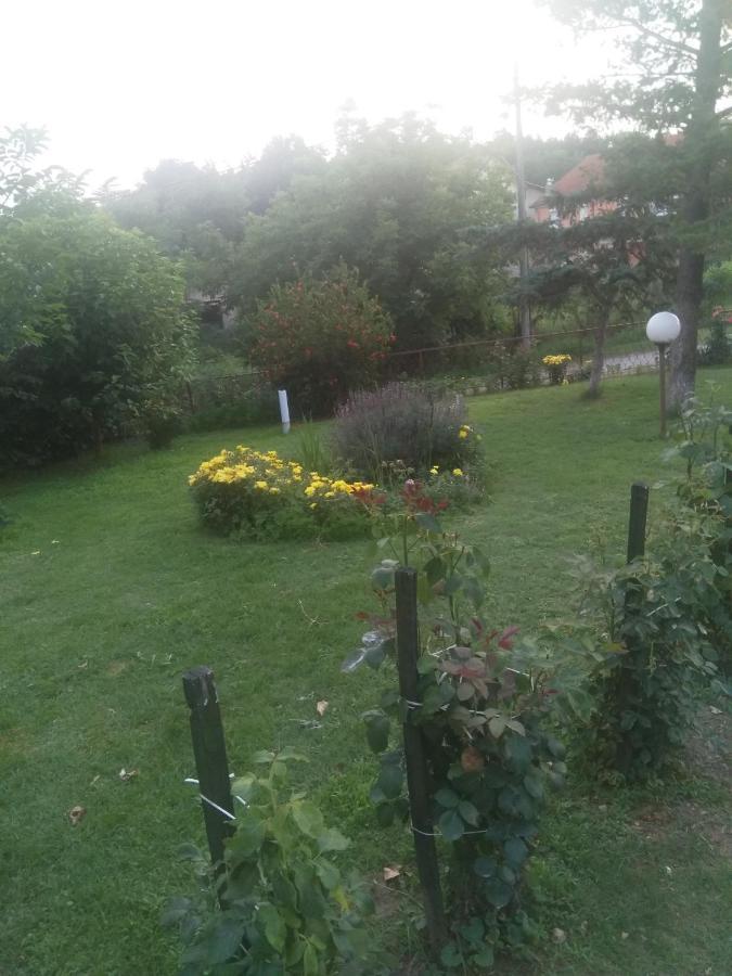 Family Apartman Ana - Star Galambóc Kültér fotó