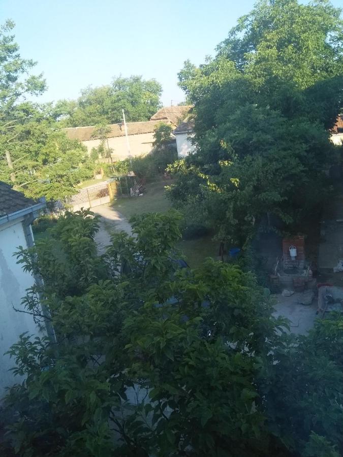 Family Apartman Ana - Star Galambóc Kültér fotó